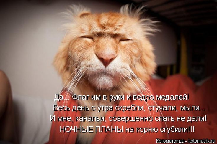 Да! Флаг им в руки и ведро медалей! Весь день с утра скребли, стучали, мыли... И мне, каналы, совершенно спать не дали! НОЧНЫЕ ПЛАНЫ на корно стубли!!!