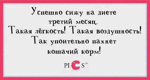 Успешно сижу на диете третий месяц. Такая лёгкость! Такая воздушность! Так упоительно пахнет кошачий корм!