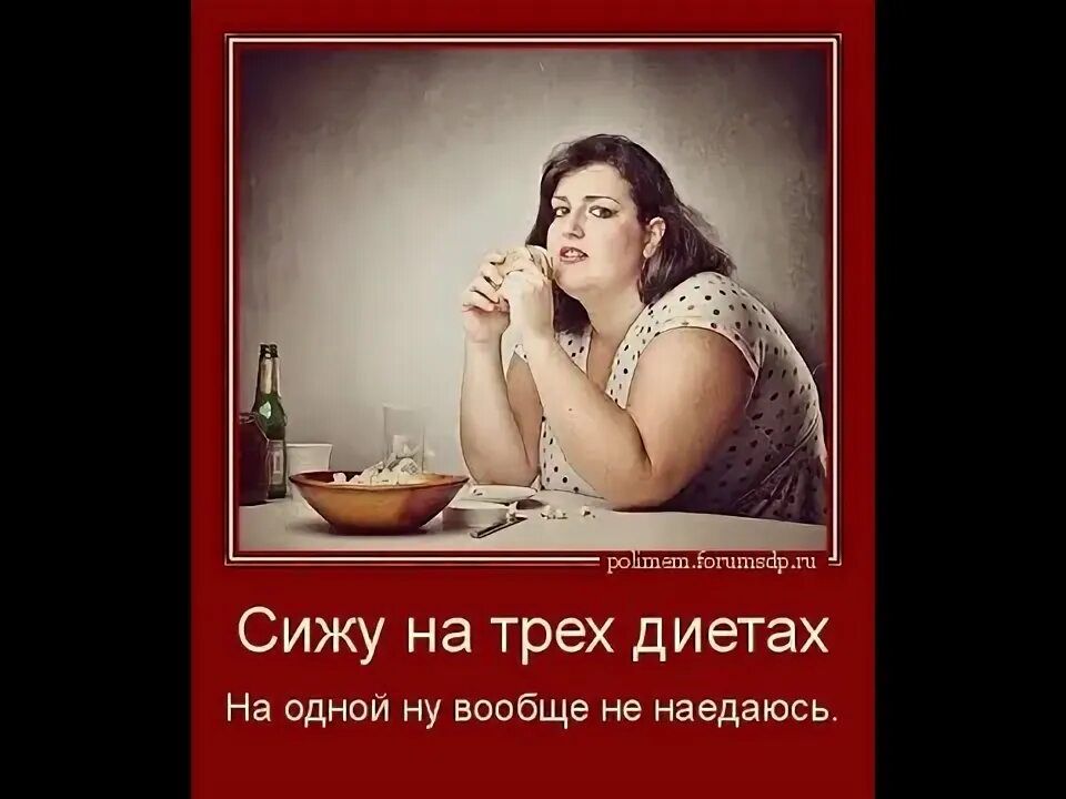Сижу на трех диетах
На одной ну вообще не наедаюсь.