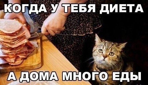 Когда у тебя диета, а дома много еды.