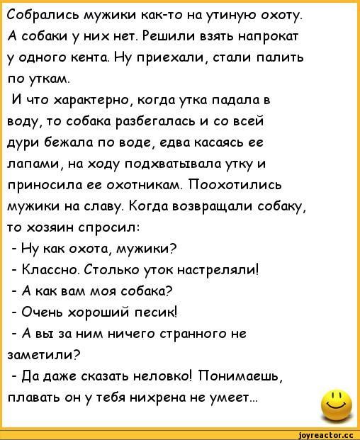 Собрались мужики как-то на утиную охоту.
А собаки у них нет. Решили взять напрокат у одного кента. Ну приехали, стали палить по уткам.

И что характерно, когда утка падала в воду, то собака разбегалась и со всей дури бежала по воде, едва касаясь её лапами, на ходу подхватывала утку и приносила её охотникам. Поохотились мужики на славу. Когда возвращали собаку, то хозяин спросил:
- Ну как охота, мужики?
- Классно. Столько уток настрелили!
- А как вам моя собака?
- Очень хороший песик!
- А вы там ничего странного не заметили?
- Да даже сказать неловко! Понимаешь, вообще у тебя нижнего не умеет...