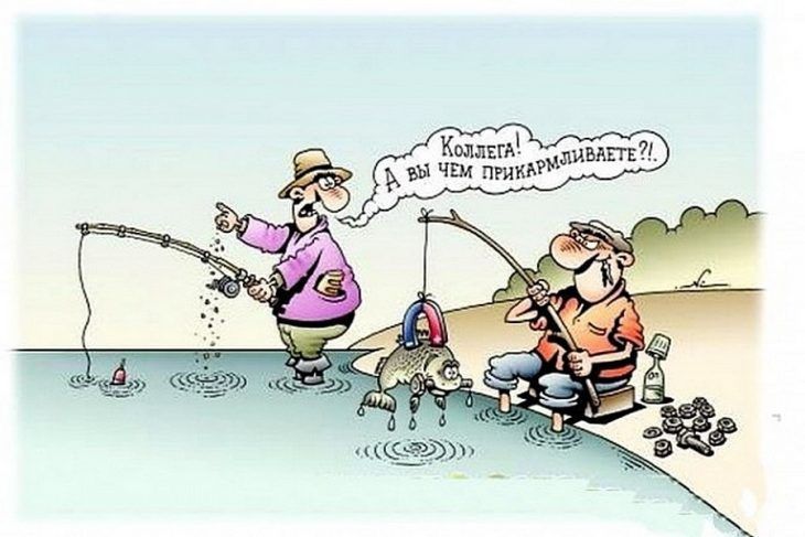 Коллега! А вы чем прикармливаете?!