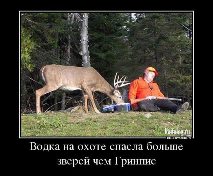Водка на охоте спасла больше зверей чем Гринпис