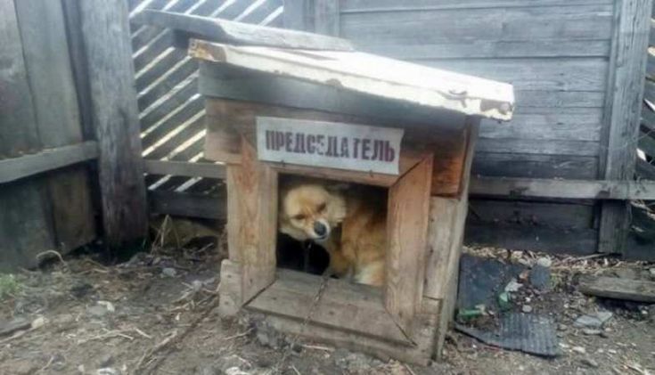 ПРЕДСЕДАТЕЛЬ