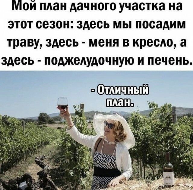 Мой план дачного участка на этот сезон: здесь мы посадим траву, здесь - меня в кресло, а здесь - поджелудочную и печень.
- Отличный план.