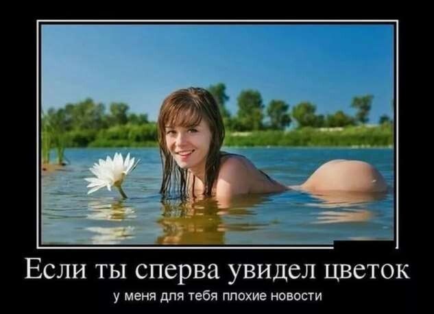 Если ты сперва увидел цветок у меня для тебя плохие новости