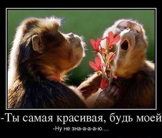 -Ты самая красивая, будь моей
-Ну не зна-а-а-а-ю....