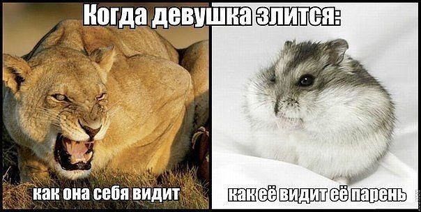 Когда девушка злится: как она себя видит как её видит её парень