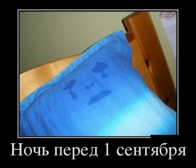 Ночь перед 1 сентября