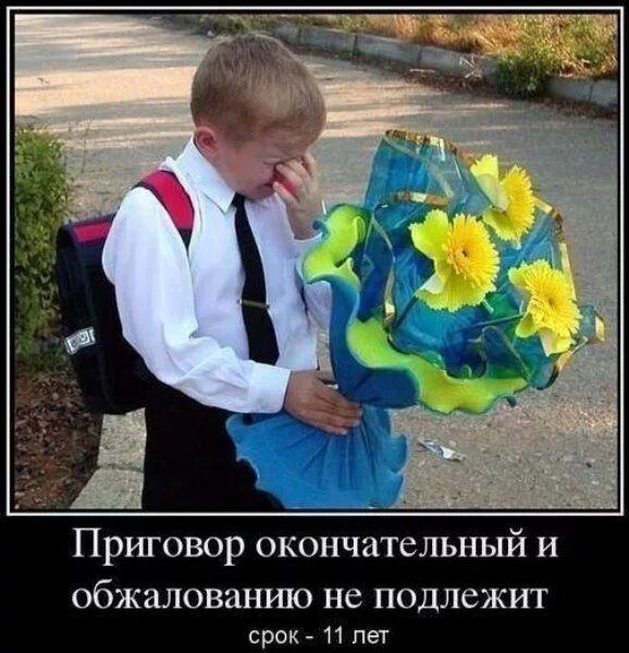 Приговор окончательный и обжалованию не подлежит срок - 11 лет