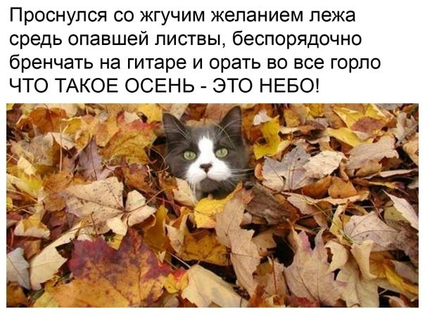 Проснулся со жгучим желанием лежа средь опавших листьев, беспорядочно бренчать на гитаре и орать во все горло ЧТО ТАКОЕ ОСЕНЬ - ЭТО НЕБО!