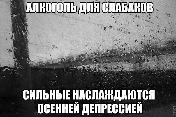 АЛКОГОЛЬ ДЛЯ СЛАБАКОВ СИЛЬНЫЕ НАСЛАЖДАЮТСЯ ОСЕННЕЙ ДЕПРЕССИЕЙ
