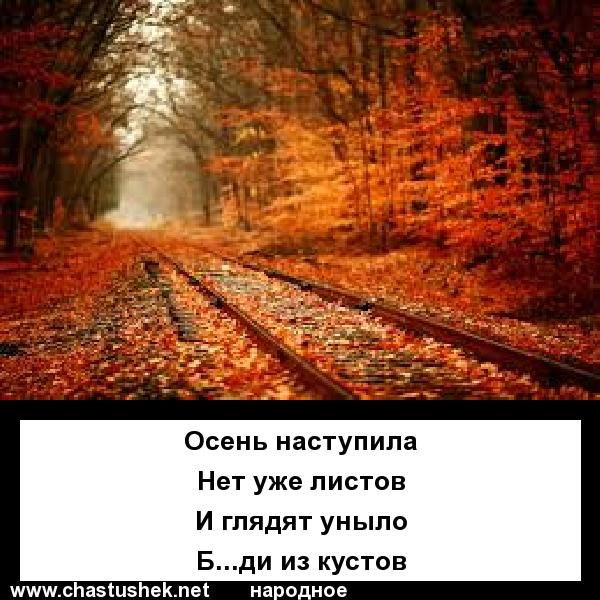 Осень наступила
Нет уже листов
И глядят уныло
Б...ди из кустов