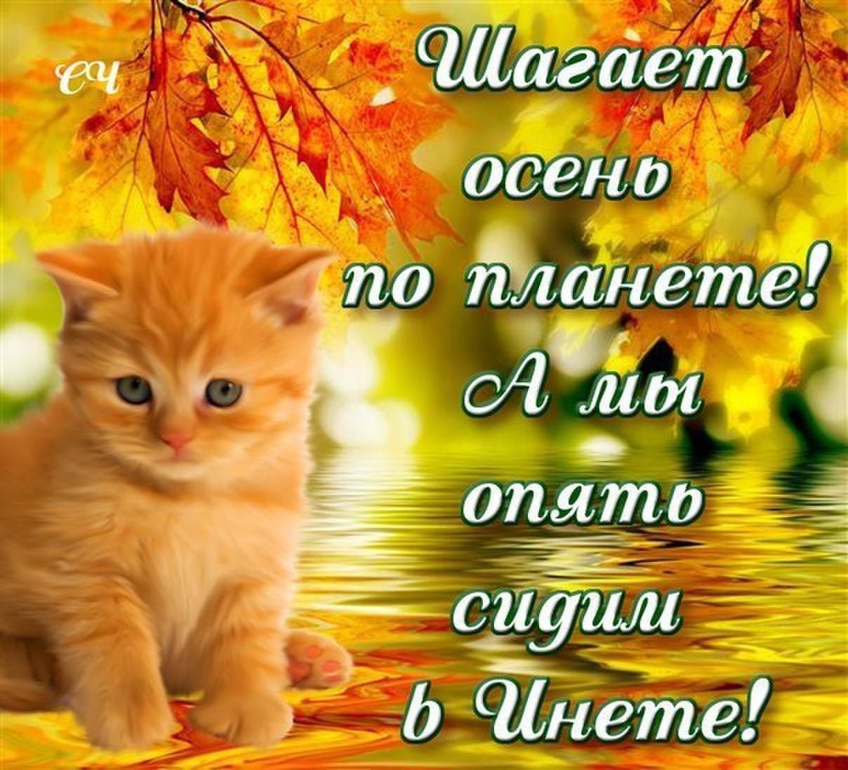 Шагает осень по планете! А мы опять сидим в Инете!
