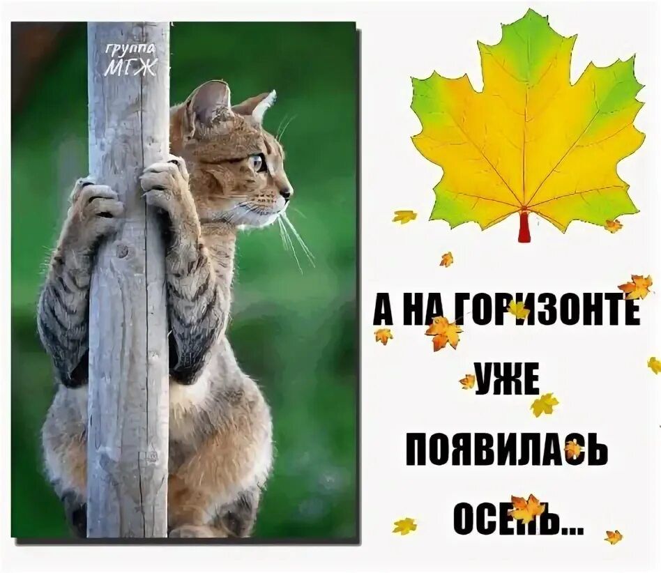 А НА ГОРИЗОНТЕ УЖЕ ПОЯВИЛАСЬ ОСЕНЬ...