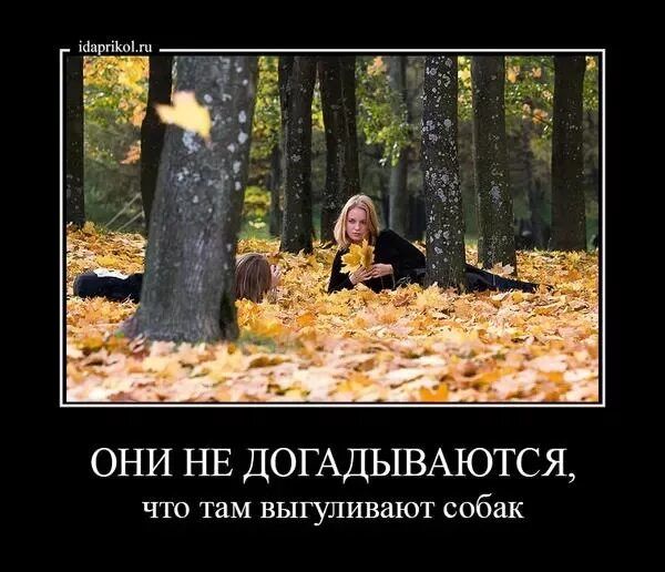 ОНЫ НЕ ДОГАДЫВАЮТСЯ, что там выгуливают собак