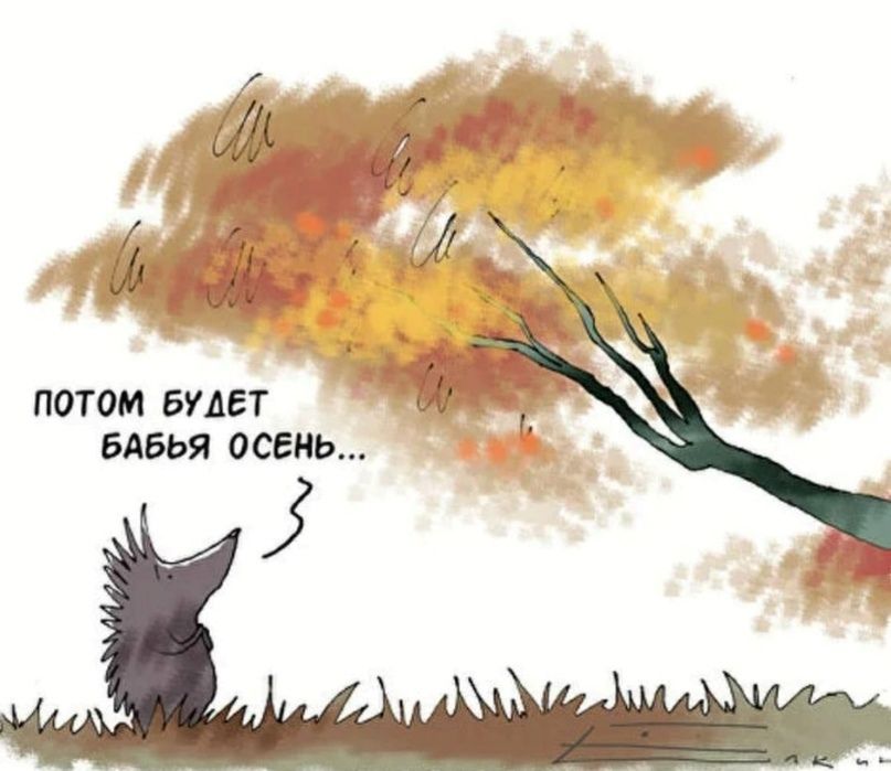 ПОТОМ БУДЕТ БАБЬЯ ОСЕНЬ...