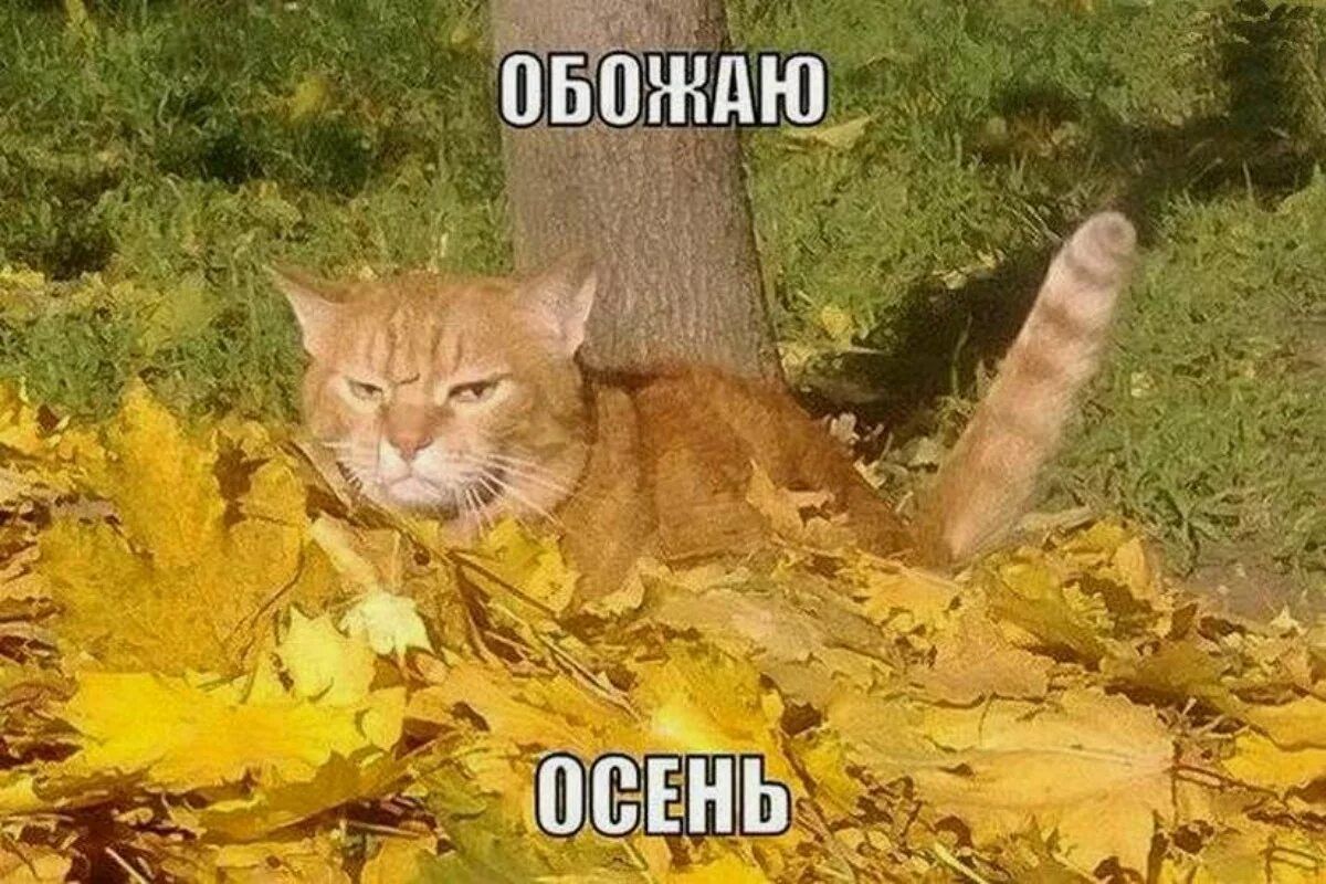 ОБОЖАЮ ОСЕНЬ