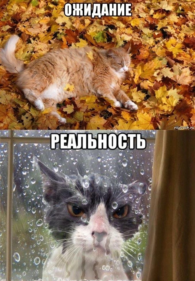 ОЖИДАНИЕ
РЕАЛЬНОСТЬ