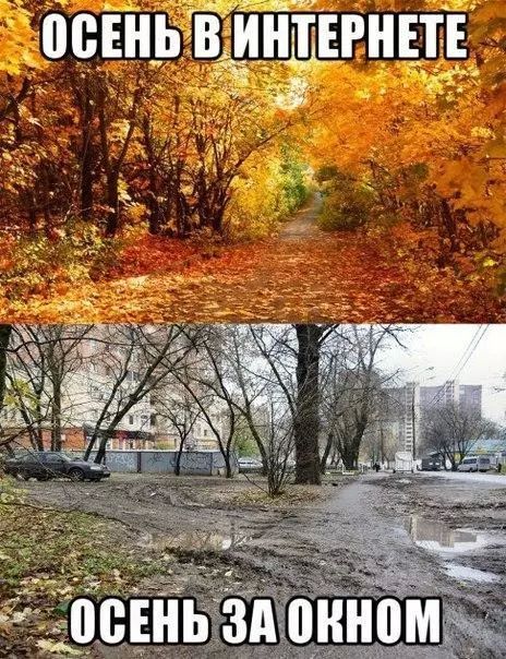 ОСЕНЬ В ИНТЕРНЕТЕ
ОСЕНЬ ЗА ОКНОМ