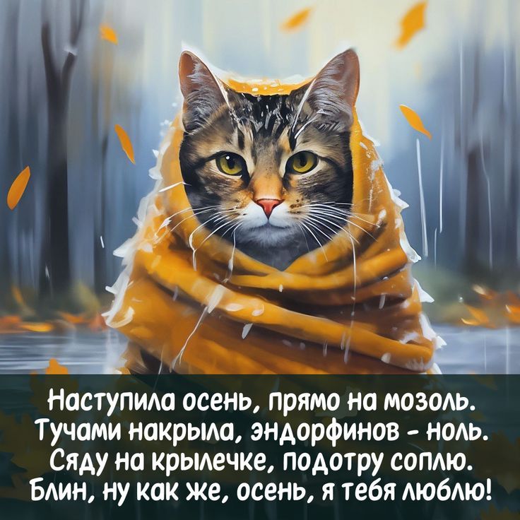 Наступила осень, прямо на мозоль.
Тучами накрыла, эндорфинов - ноль.
Сяду на крылечке, подарю соплю.
Блин, ну как же, осень, я тебя люблю!