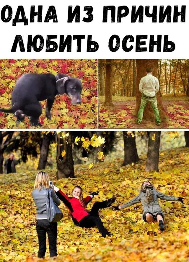 ОДНА ИЗ ПРИЧИН ЛЮБИТЬ ОСЕНЬ