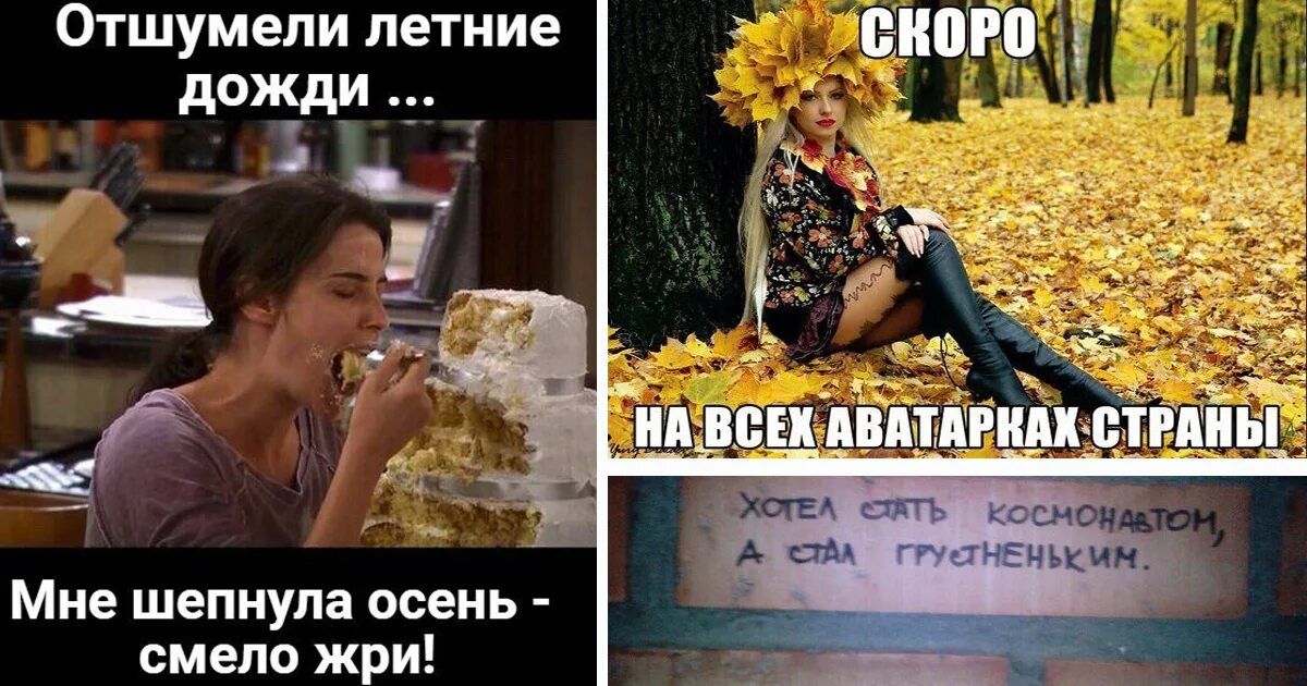 Отшумели летние дожди ...
Мне шепнула осень - смело жри!
Скоро на всех аватарках страны
Хотел стать космонавтом, а стал грузчиком.