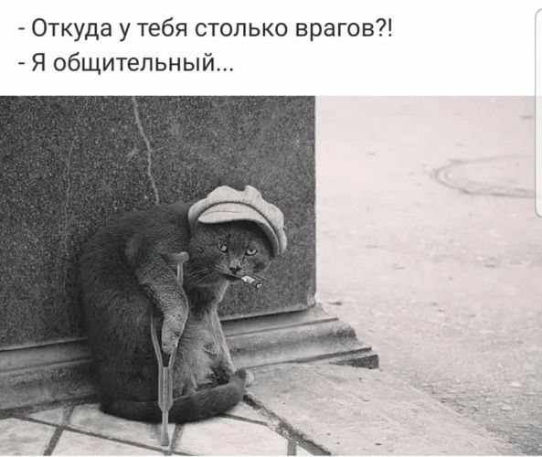 - Откуда у тебя столько врагов?!
- Я общительный...