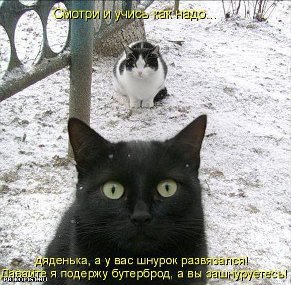 Смотри и учись как надо... дяденька, а у вас шнурок развязался! Папайте я подержу бутерброд, а вы зашнуруетесь!
