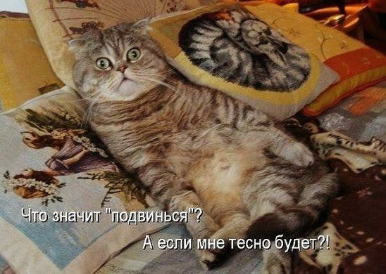 Что значит 