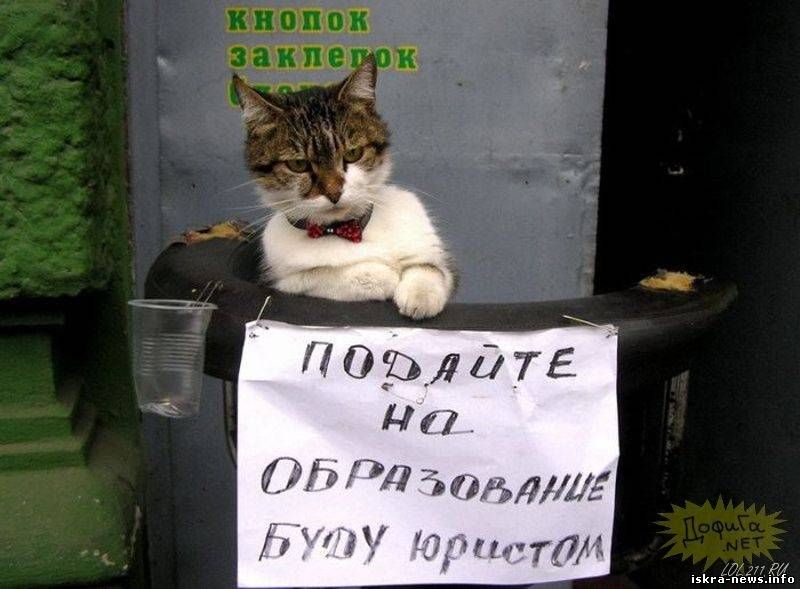 ПОДАЙТЕ НА ОБРАЗОВАНИЕ БУДУ ЮРИСТОМ
