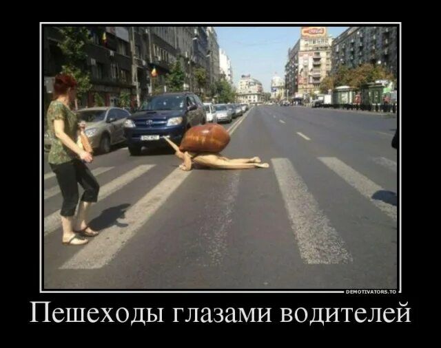 Пешеходы глазами водителей