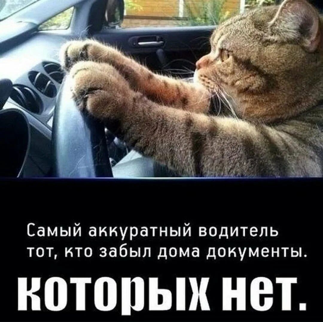 Самый аккуратный водитель тот, кто забыл дома документы. которых нет.