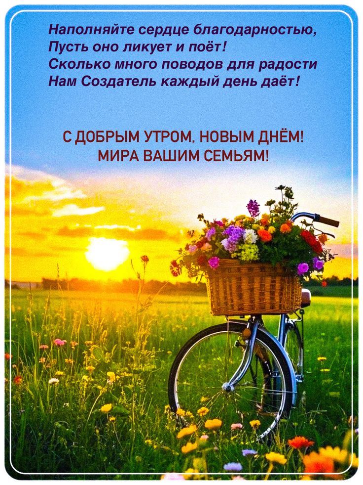 Наполните сердце благодарностью, Пусть оно ликует и поёт! Сколько много поводов для радости Нам Создатель каждый день даёт! С ДОБРЫМ УТРОМ, НОВЫМ ДНЁМ! МИРА ВАШИМ СЕМЬЯМ!