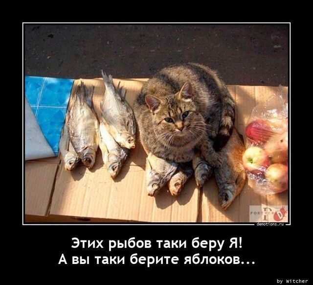 Этих рыбов таки берУ Я! А вы таки берите яблоков...