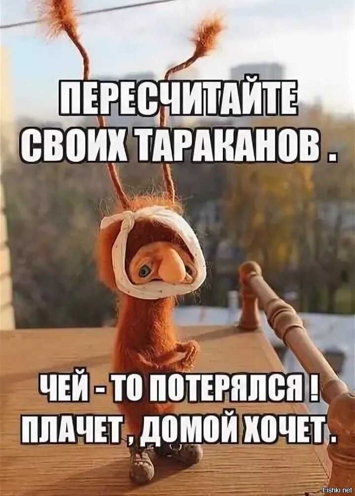 ПЕРЕСЧИТАЙТЕ СВОИХ ТАРАКАНОВ. ЧЕЙ - ТО ПОТЕРЯЛСЯ! ПЛАЧЕТ, ДОМОЙ ХОЧЕТ.