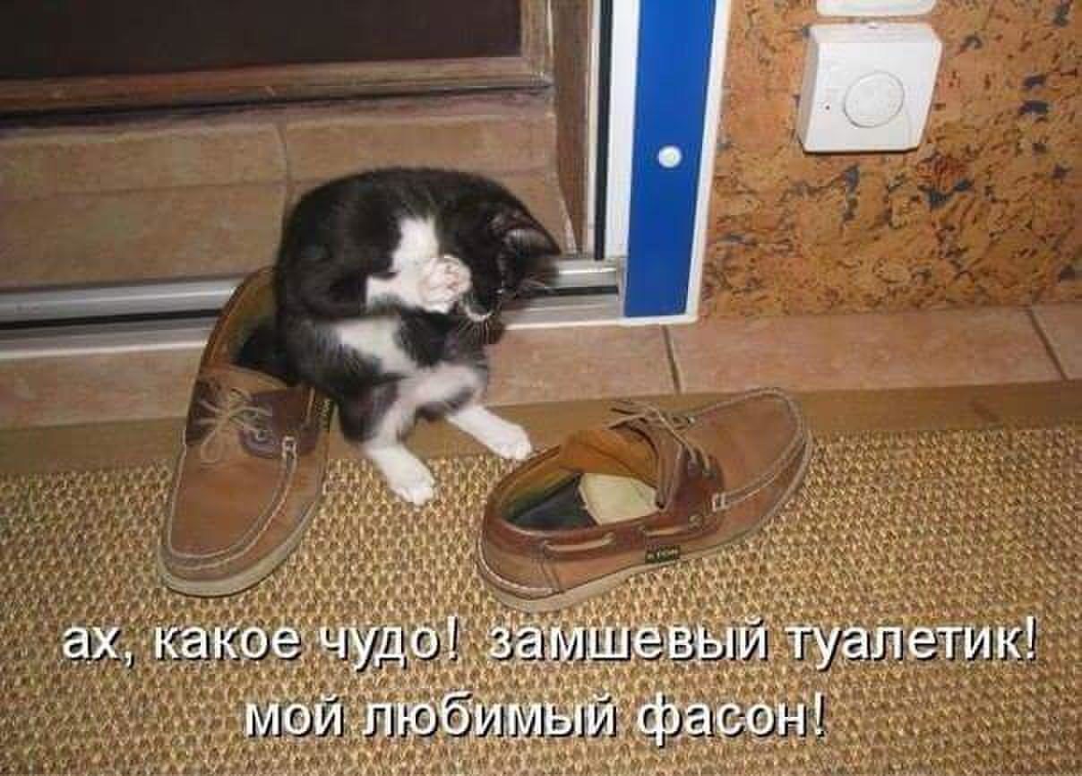 ах, какое чудо! замшевый туалетик! мой любимый фасон!