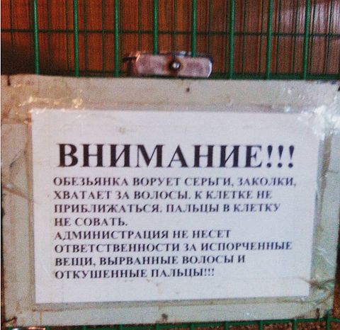 ВНИМАНИЕ!!!
Обезьянка ворует серьги, заколки, хватает за волосы! В клетке не приближаться, пальцы в клетку не сувать.
Администрация не несет ответственности за испорченные вещи, вырванные волосы и откушенные пальцы!!!