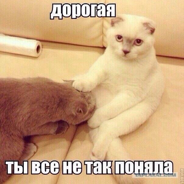 дорогая
ты все не так поняла