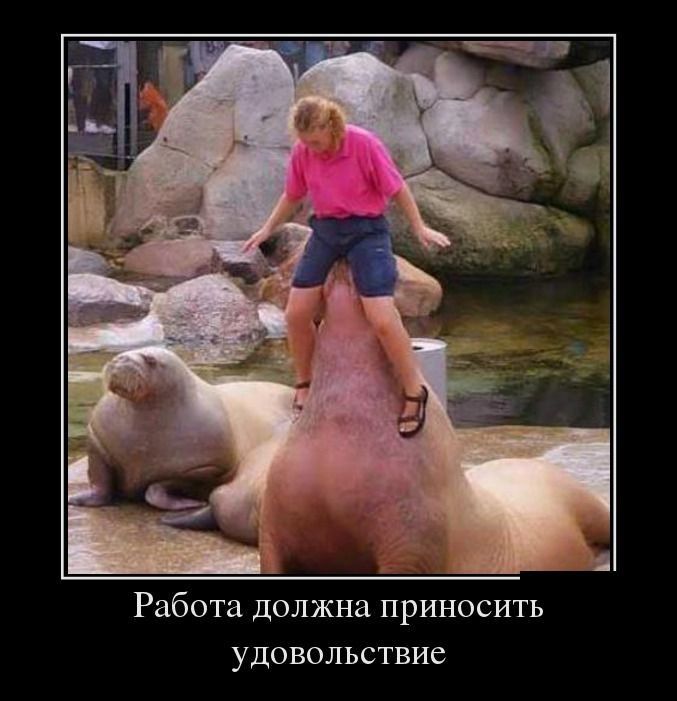 Работа должна приносить удовольствие
