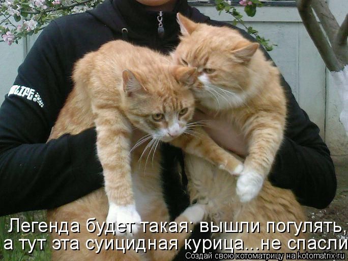 Легенда будет такая: вышли погулять, а тут эта суицидная курица... не спасли.