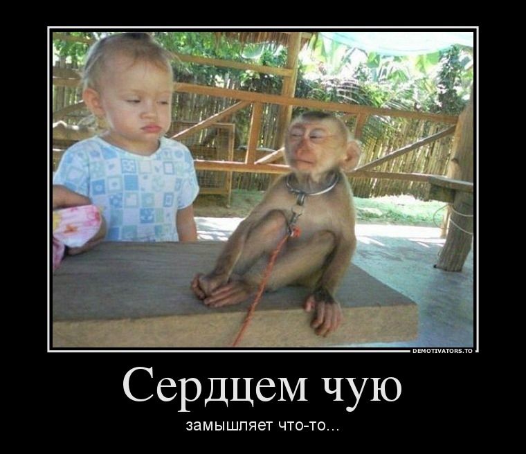 Сердцем чую замышляет что-то...