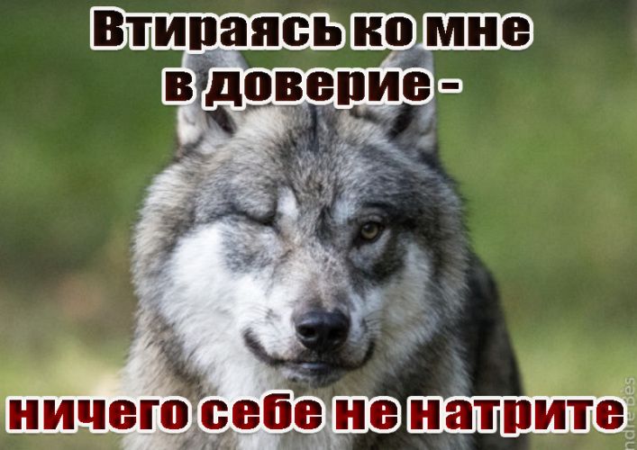 Втираясь ко мне в доверие - ничего себе не натрите