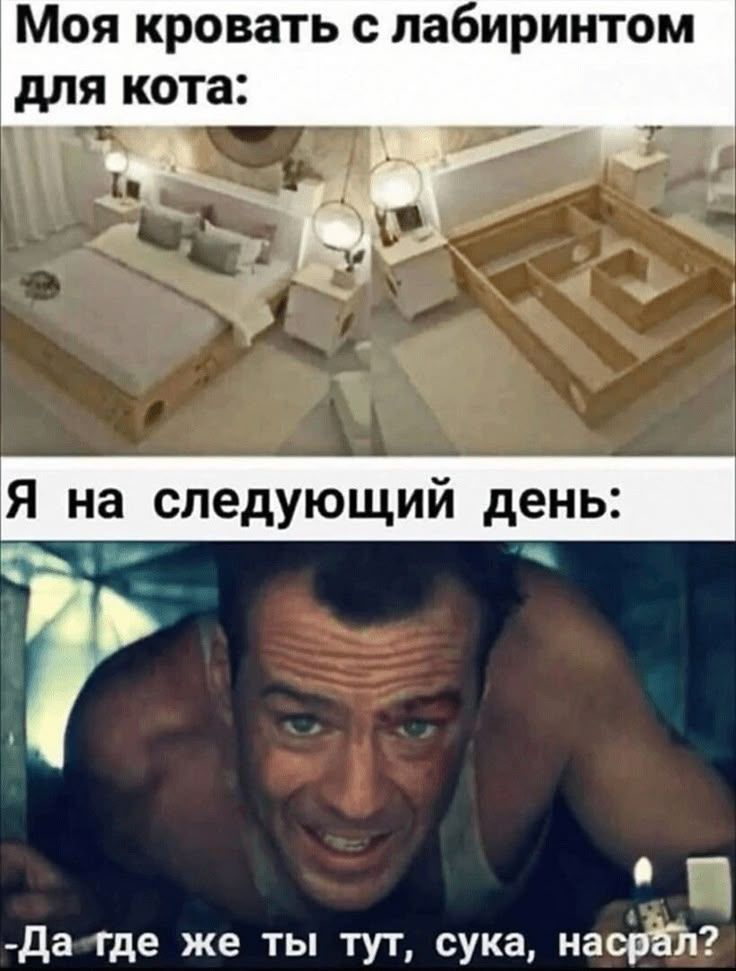 Моя кровать с лабиринтом для кота:
Я на следующей день:
-Да где же ты тут, сука, насрал?