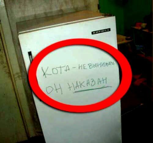 Кота - не вынимайте. Он наказан.