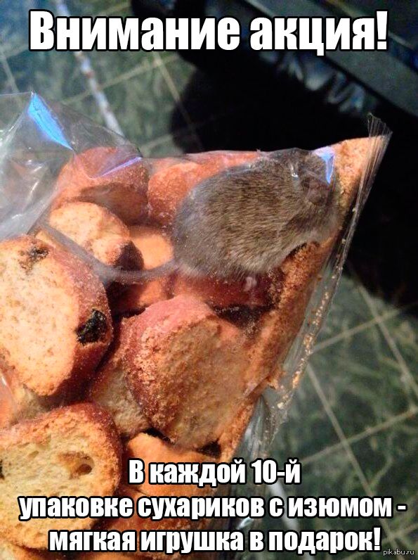 Внимание акция! В каждой 10-й упаковке сухариков с изюмом - мягкая игрушка в подарок!