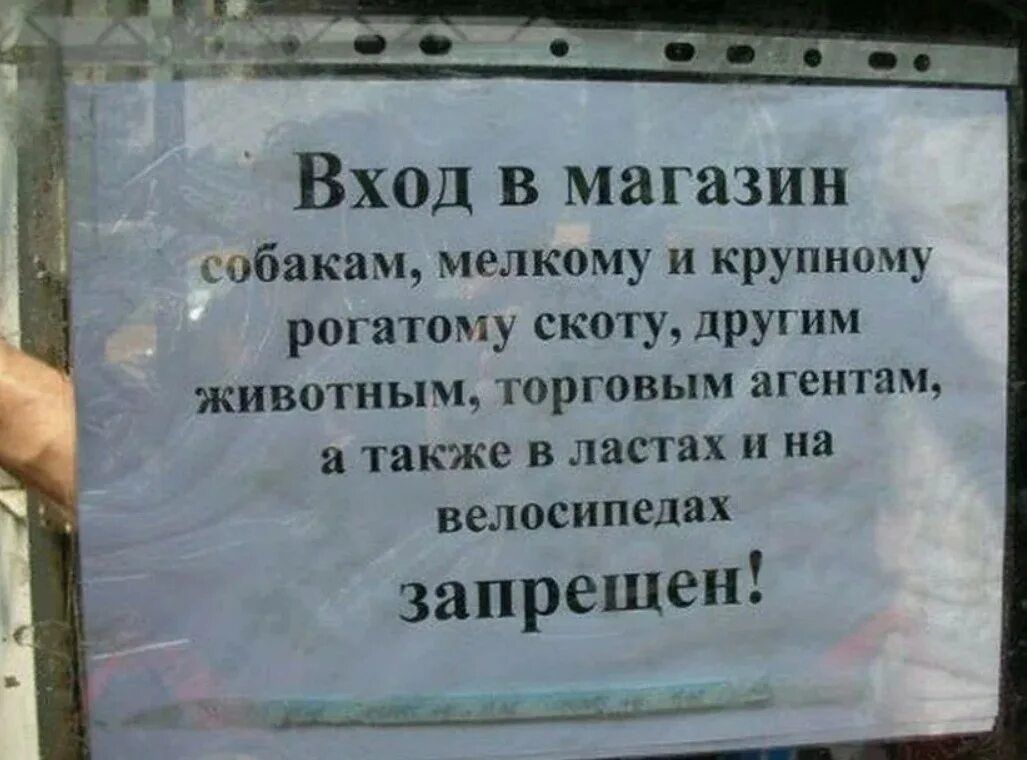 Вход в магазин собакам, мелкому и крупному рогатому скоту, другим животным, торговым агентам, а также в лапках и на велосипедах запрещен!