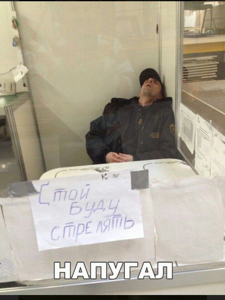 Стою, буду стрелять.
НАПУГАЛ