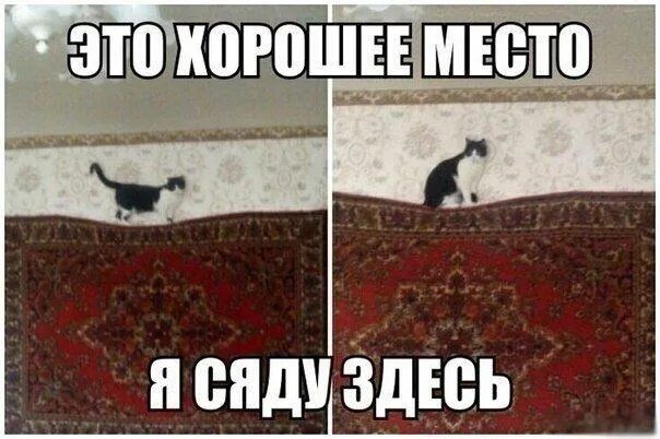 ЭТО ХОРОШЕЕ МЕСТО Я СЯДУ ЗДЕСЬ