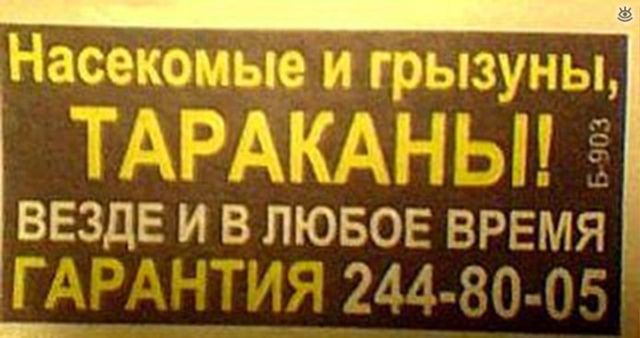 Насекомые и грызуны, ТАРАКАНЫ! ВЕЗДЕ И В ЛЮБОЕ ВРЕМЯ ГАРАНТИЯ 244-80-05